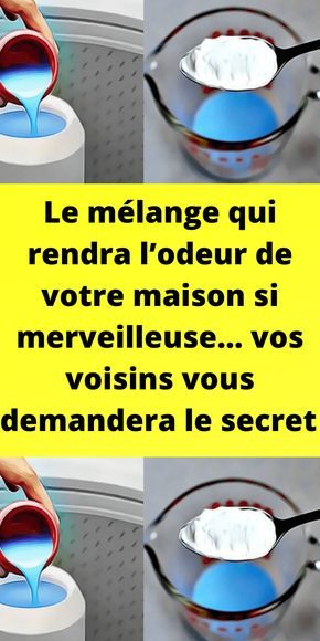 Agrumes coupés et épices pour parfumer la maison