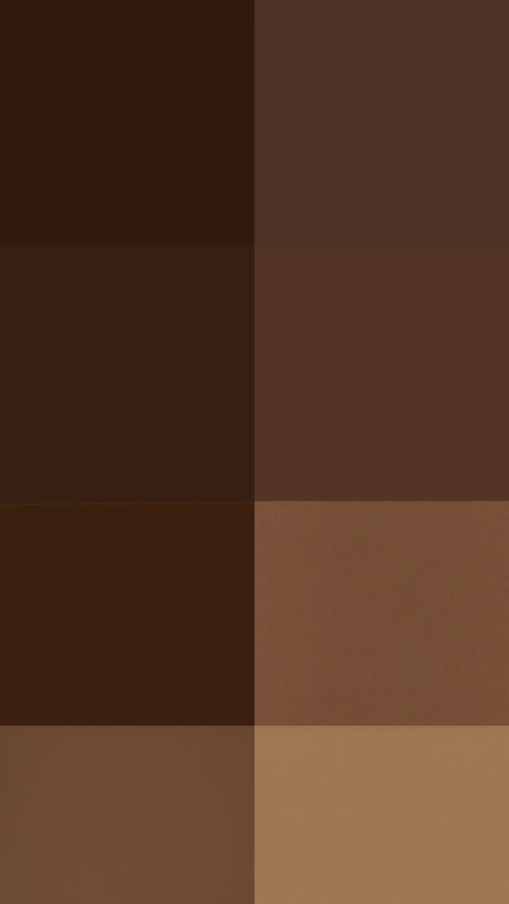 Palette de bruns profonds pour cheveux fins